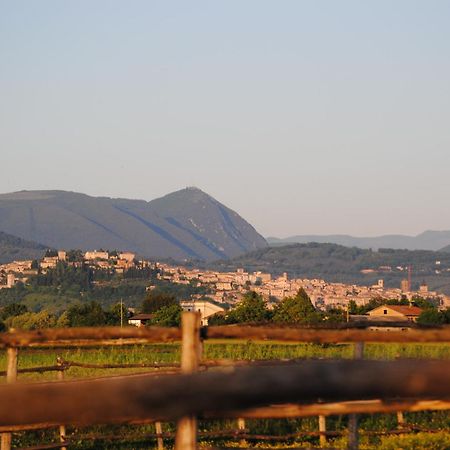 Agriturismo Il Barco Spello Exterior foto