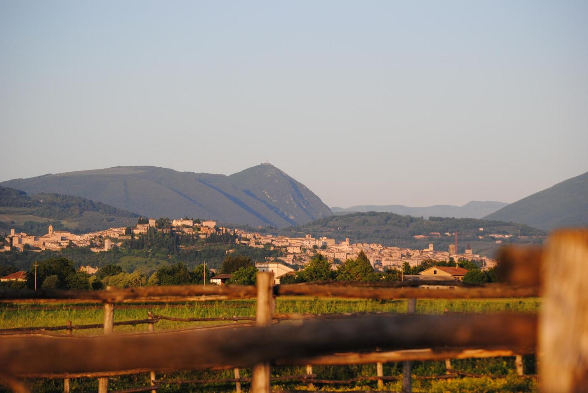 Agriturismo Il Barco Spello Exterior foto