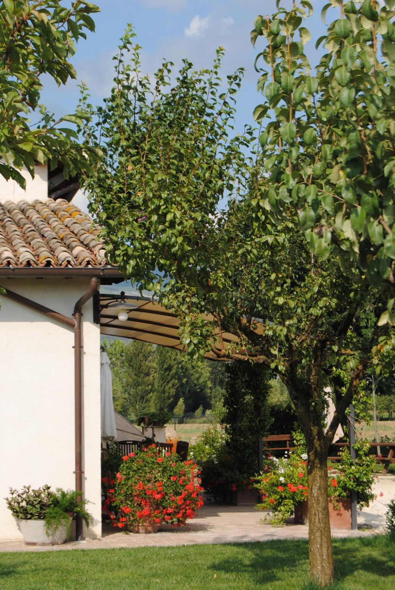 Agriturismo Il Barco Spello Exterior foto