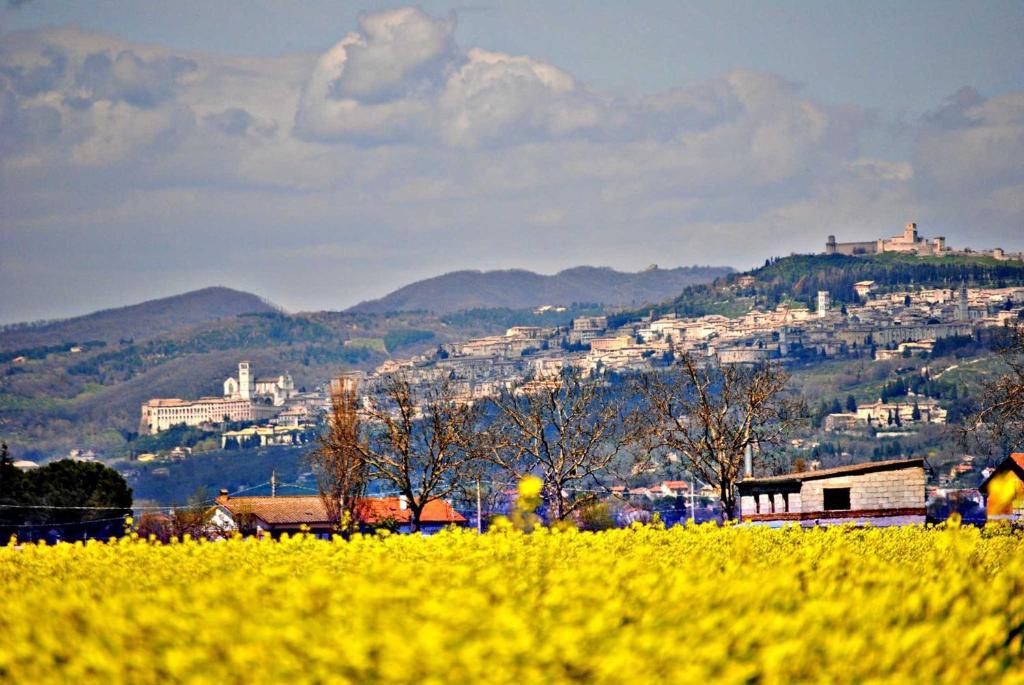 Agriturismo Il Barco Spello Exterior foto